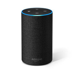 Alexa Echo